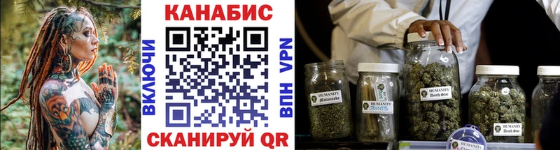 Конопля сатива  Динская 